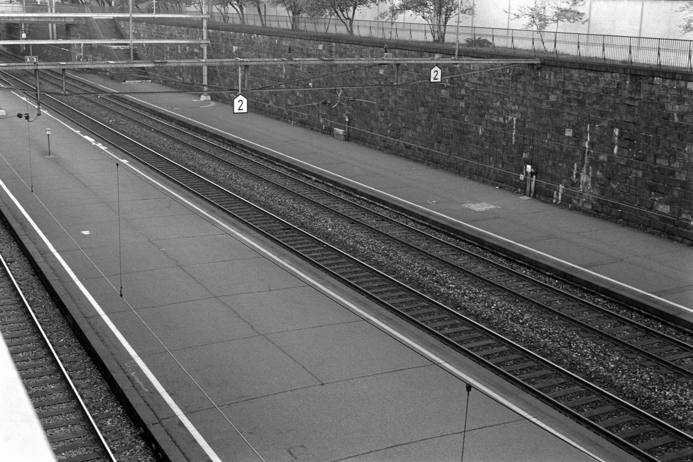 AHP F1992 04 002 sc250507 img06 NLP